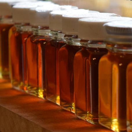 bottles of maple syrup in a row