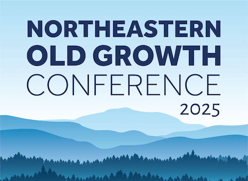 northeastern old growth conference 2025 logo